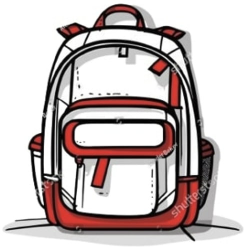 Bolsos surtido